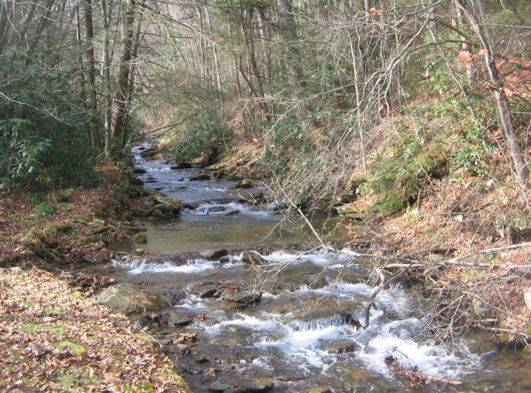 Upper Pine Bottom State Park, Pennsylvania, USA